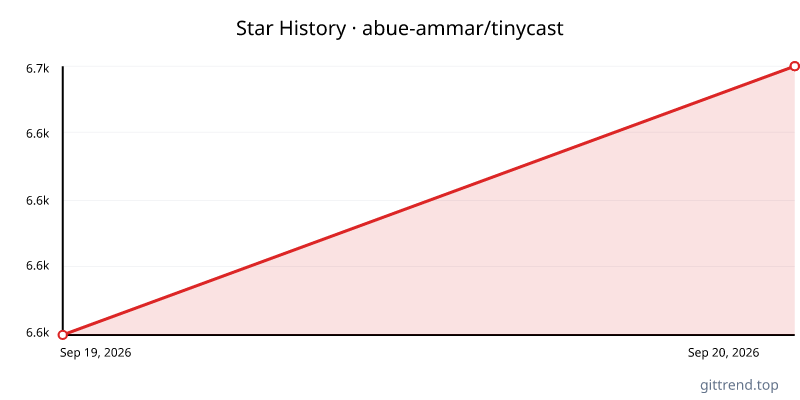 abue-ammar/tinycast star history